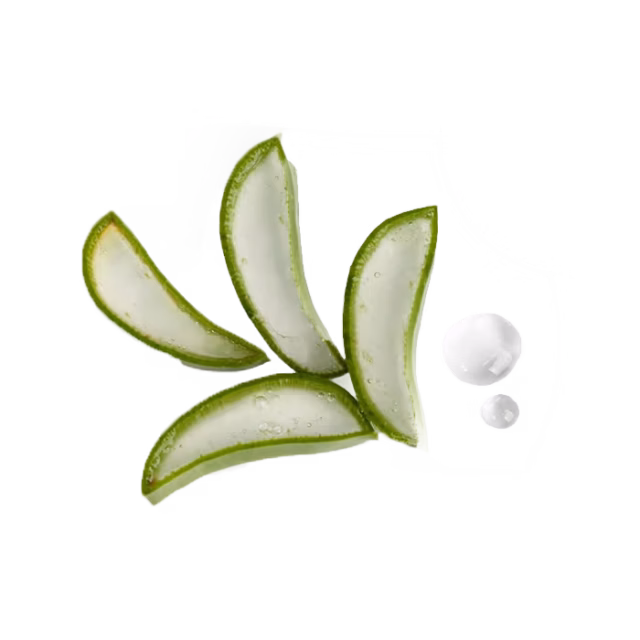 aloe-vera
